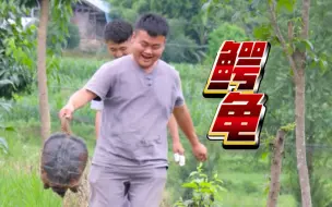 Video herunterladen: 你们知道谁是鳄龟的天敌吗