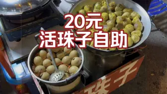 Télécharger la video: 20元一个人，活珠子自助，我能吃回本吗？