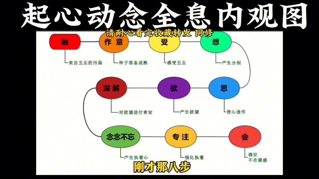 起心动念全息内观图哔哩哔哩bilibili