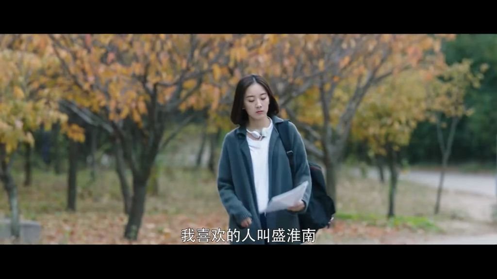 【暗恋橘生淮南】盛淮南洛枳 关于暗恋的故事