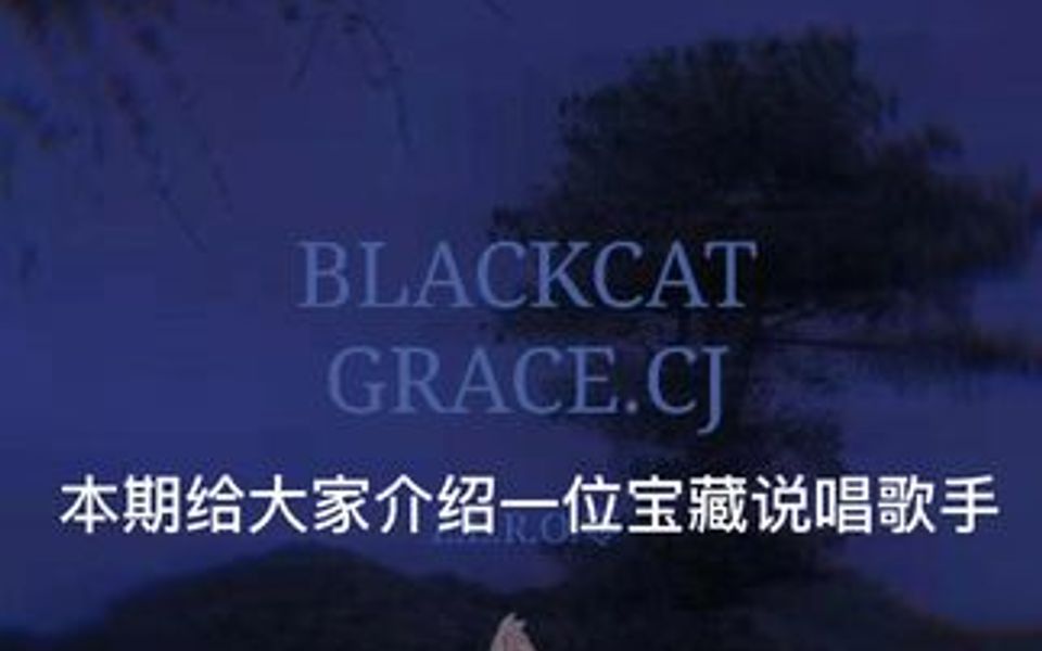 《西南》 BLACKCAT.哔哩哔哩bilibili