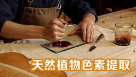 小实验 植物色素的提取与分离 哔哩哔哩 つロ干杯 Bilibili