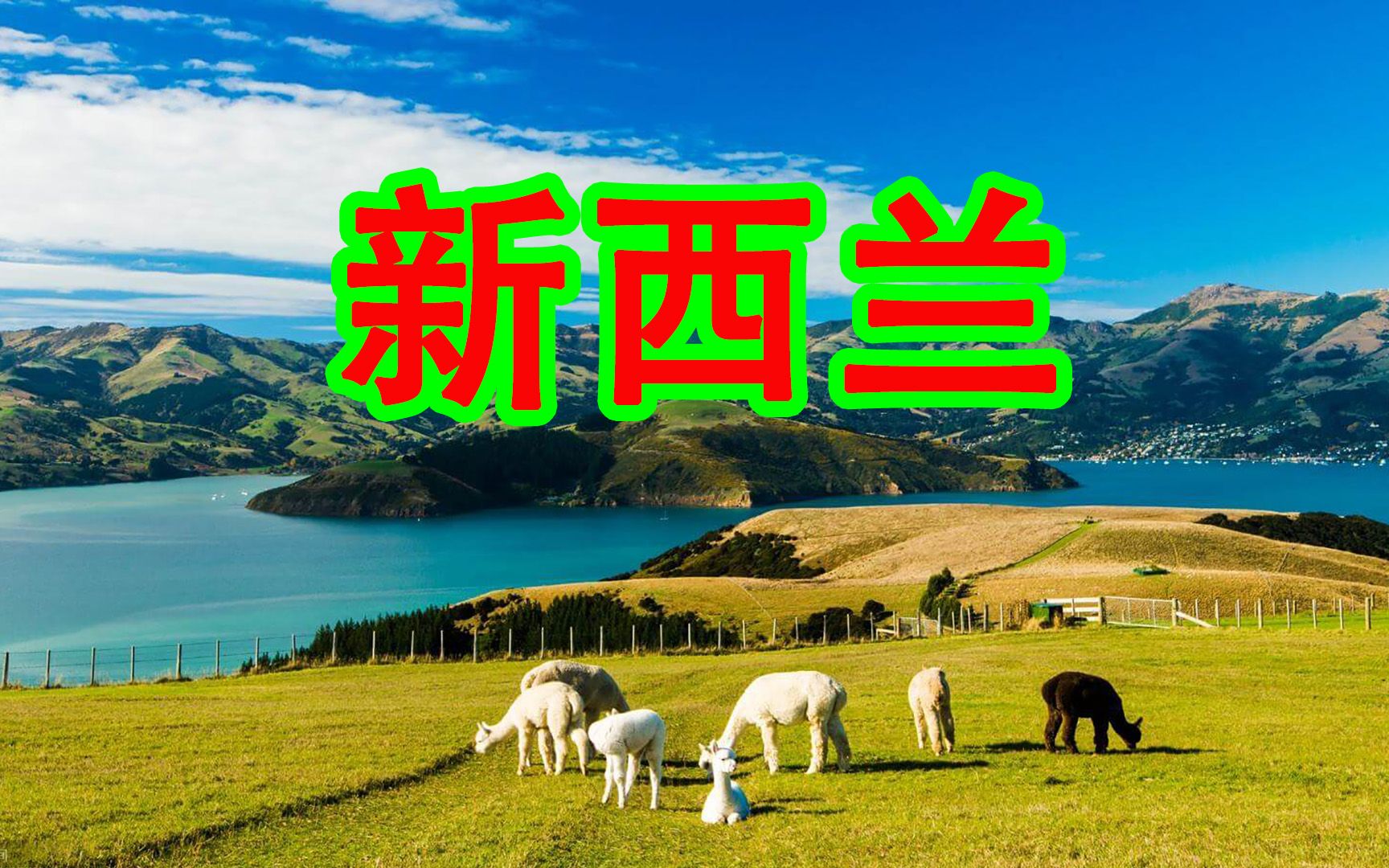 新西兰new Zealand哔哩哔哩bilibili