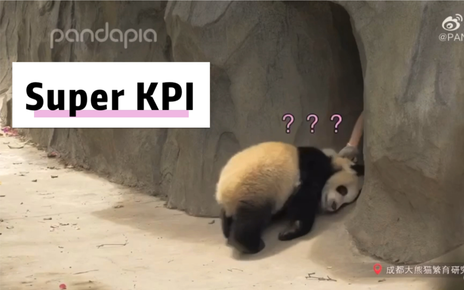 Super KPI上线哔哩哔哩bilibili