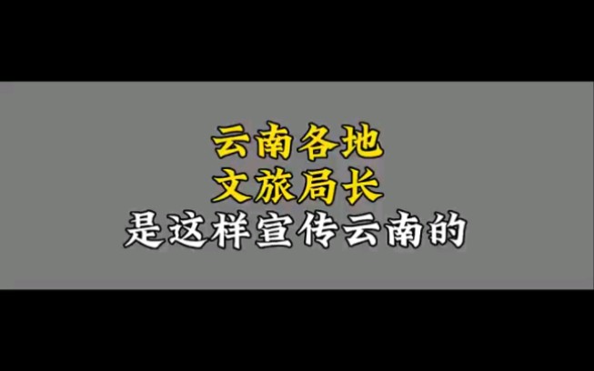 听说你们都想看看云南的文旅局长怎么宣传云南的,快来跟我一起看看吧哔哩哔哩bilibili