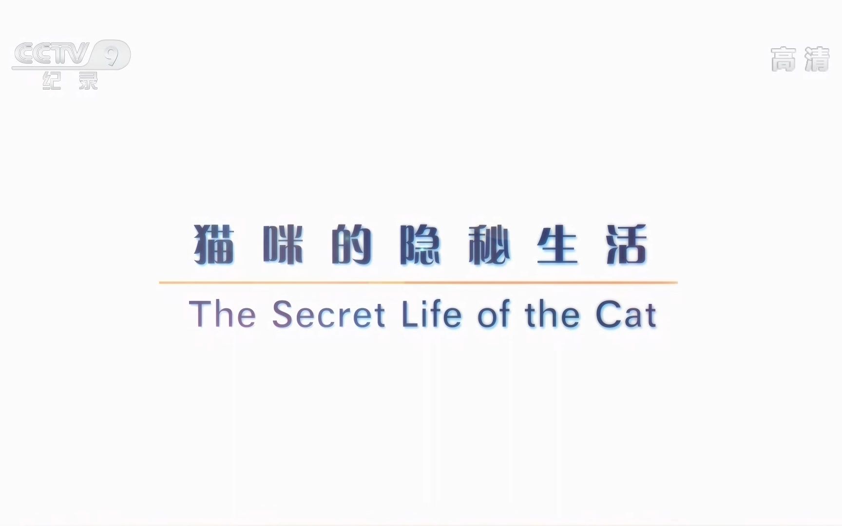 [图]【央视】《猫咪的隐秘生活》【1080P+】