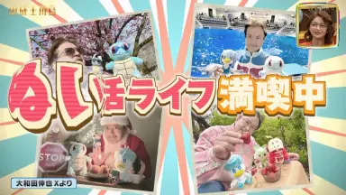 川岛海荷-哔哩哔哩_Bilibili