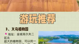 Download Video: 义乌旅行全攻略