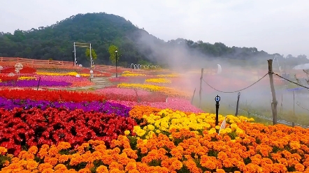 东莞香遇百花园美景
