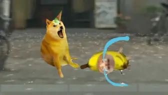 【补档】大狗子欺负小猫咪！