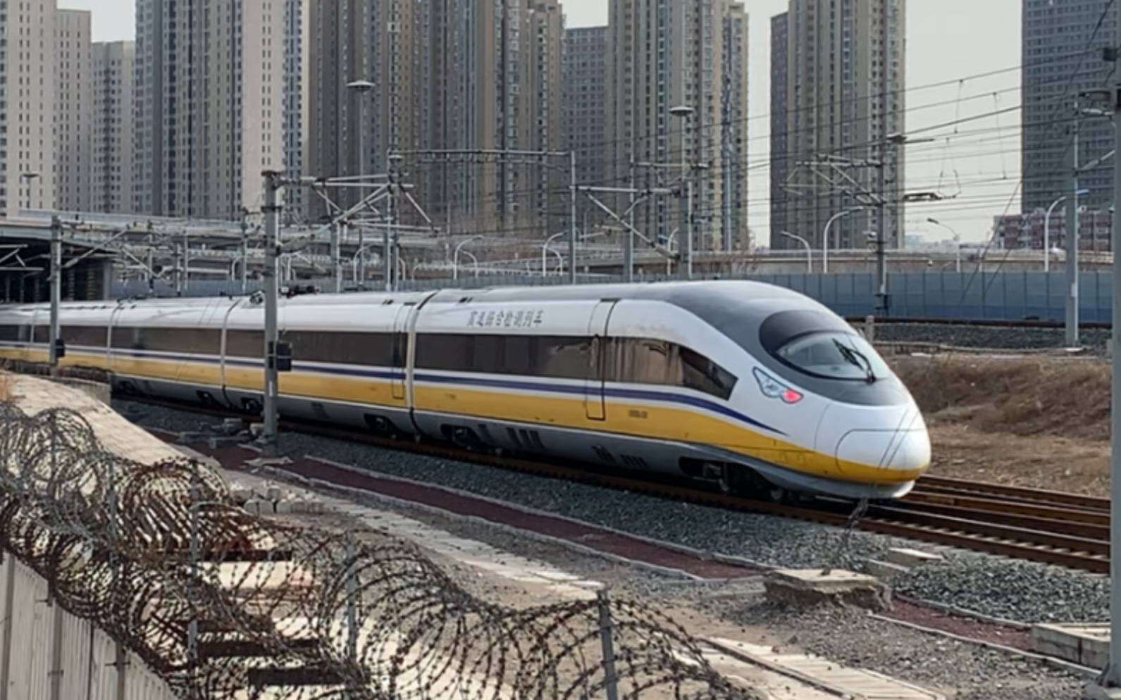 【4k 60fps】鲨鱼头的兔子!