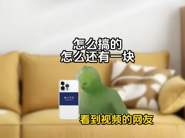 小女孩：这下你们开心了#猫meme小剧场#兰花干子#搞笑#热心网友