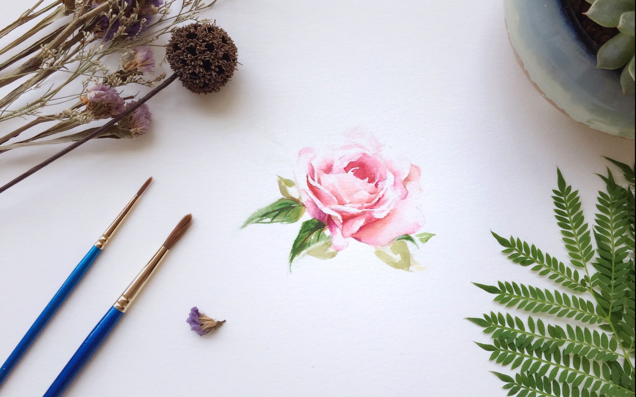 【手绘】粉玫瑰水彩教程
