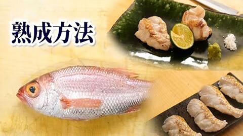 鱼親父 鱼类熟成简单实用的方法完整教学 哔哩哔哩