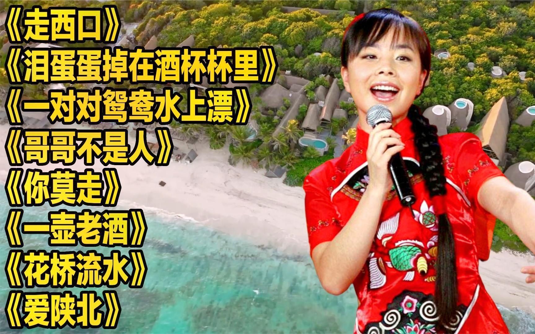 王二妮《走西口》《泪蛋蛋掉在酒杯杯里》《哥哥不是人》《一壶老酒》