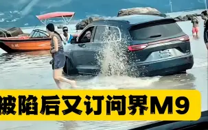 Descargar video: 反转了！问界M7海滩被淹，车主被服务感动后，又订了问界M9