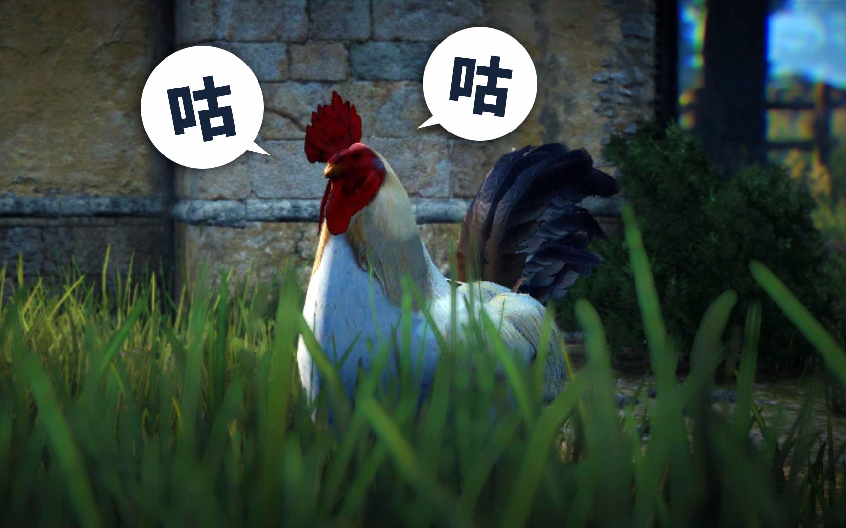 活动  wowgear《黑色沙漠》咕咕鸡大逃亡 总-234