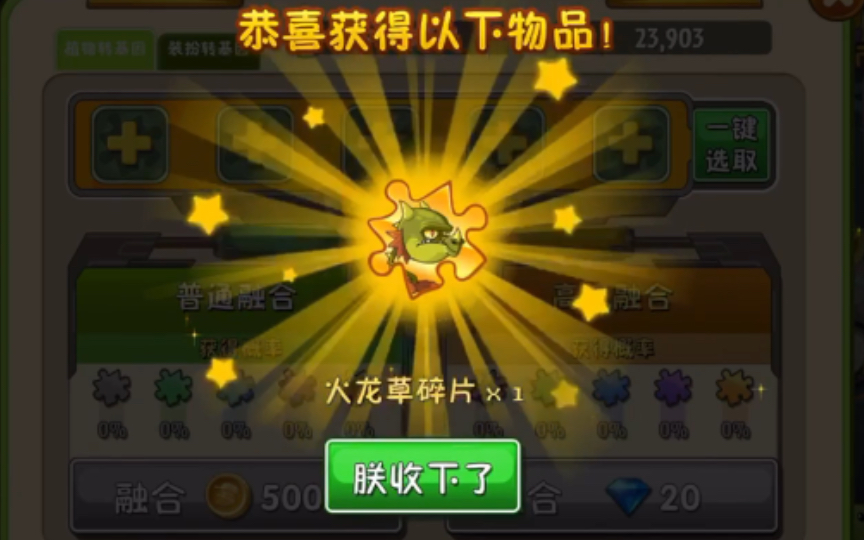 五阶火龙草75/80