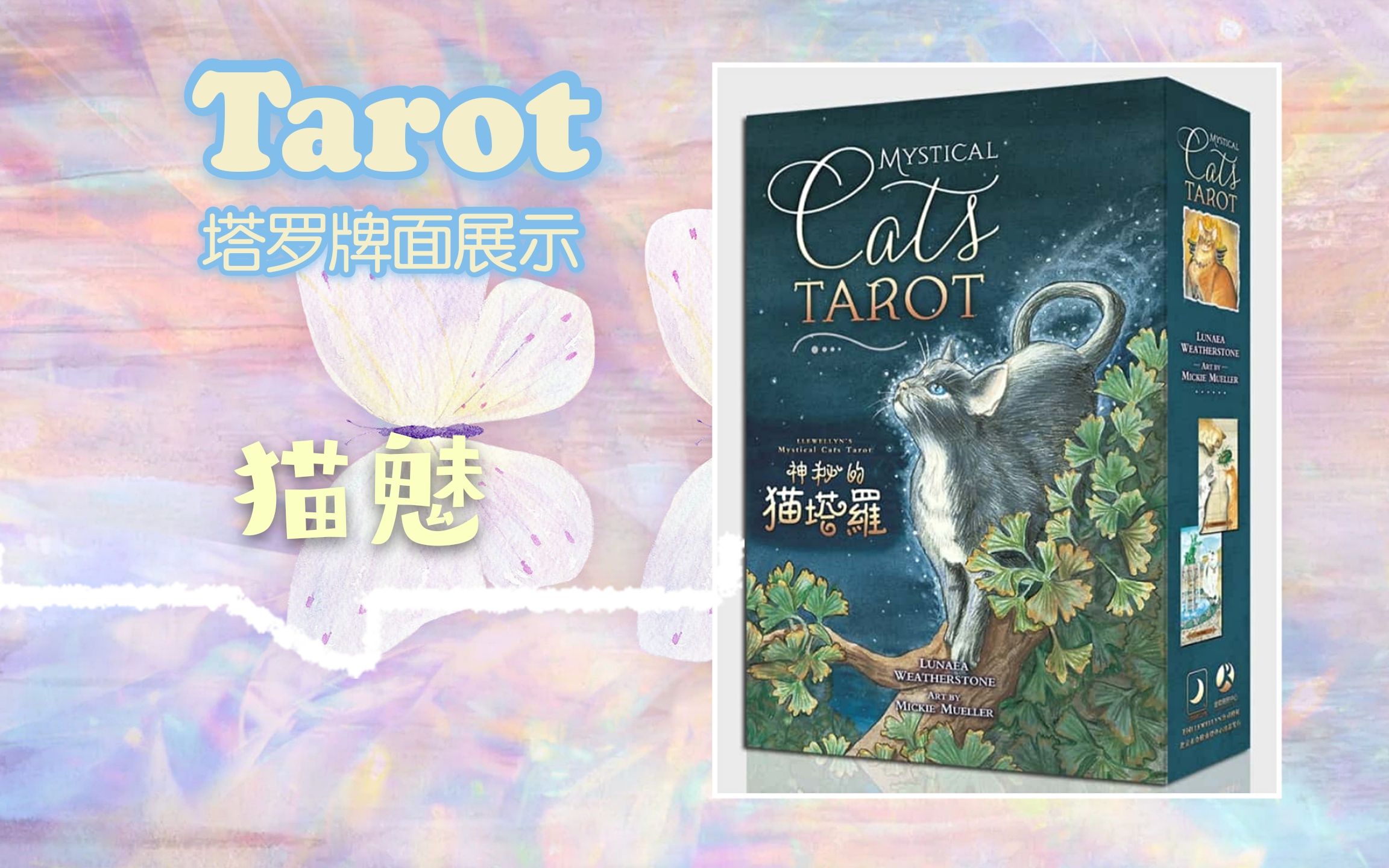 【塔罗展示·国产】猫魅塔罗牌——mystical cats tarot
