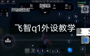 Download Video: 飞智q1外设教学，这个数值是适合我手机的大家可以参考一下！