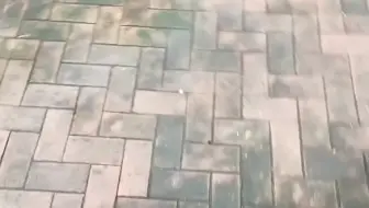 高跟鞋1.8