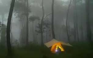 Download Video: 【原声露营】独自露营在大雨，雷雨和雾中，雨声和大自然放松，ASMR