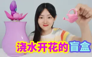 Download Video: 超大开花盲盒寻宝，只要浇上一壶水就能开花，花里还有可爱娃娃