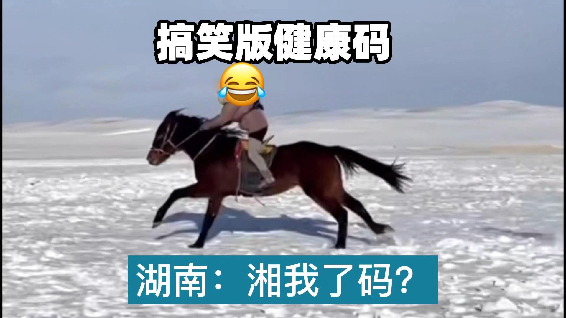 搞笑版健康码,湖南:湘我了码?哔哩哔哩bilibili