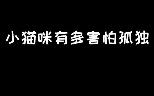 吐吐真的太让人心疼了…(剪完视频抱着他忍不住哭了呜呜呜)哔哩哔哩bilibili