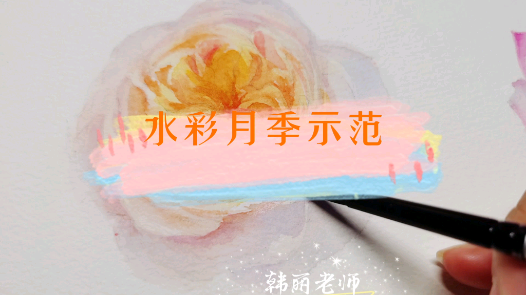 【原创】如何概括的画出一朵月季花#水彩#哔哩哔哩bilibili