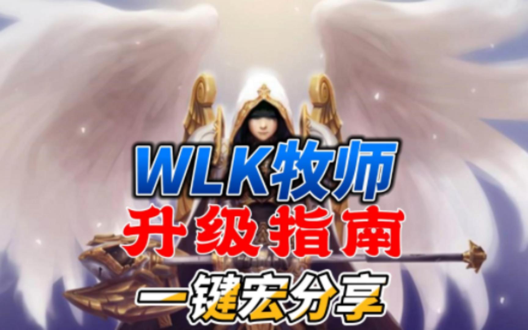 WLK牧师练级指南&宏分享!魔兽世界