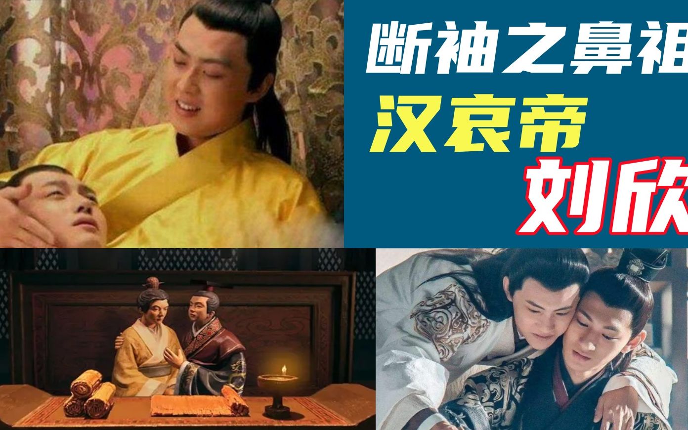 断袖是啥意思?断臂山啊,汉哀帝刘欣就是断袖之鼻祖