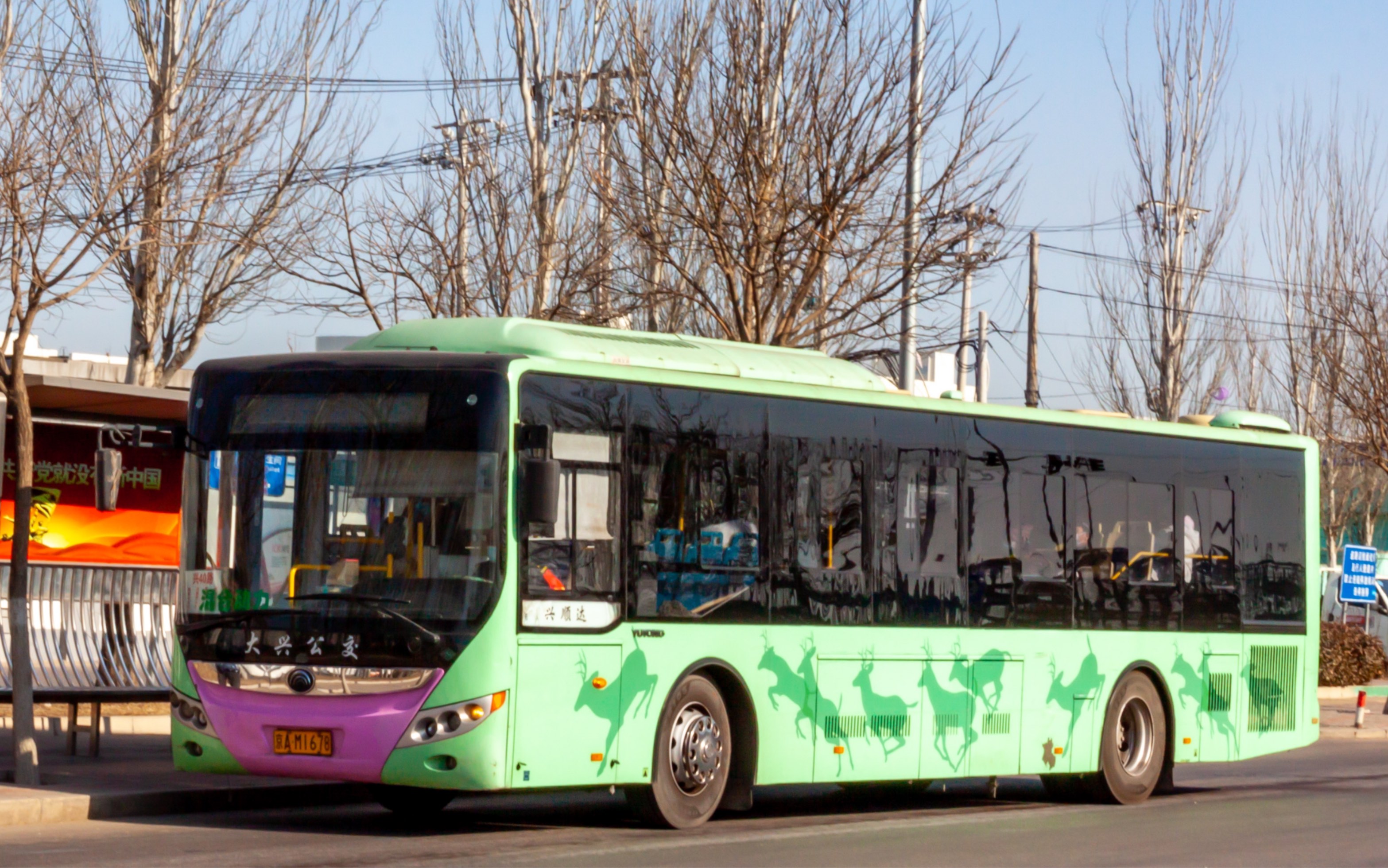 28】北京兴顺达客运宇通zk6120chevg1型混合动力城市客车进出站 走行