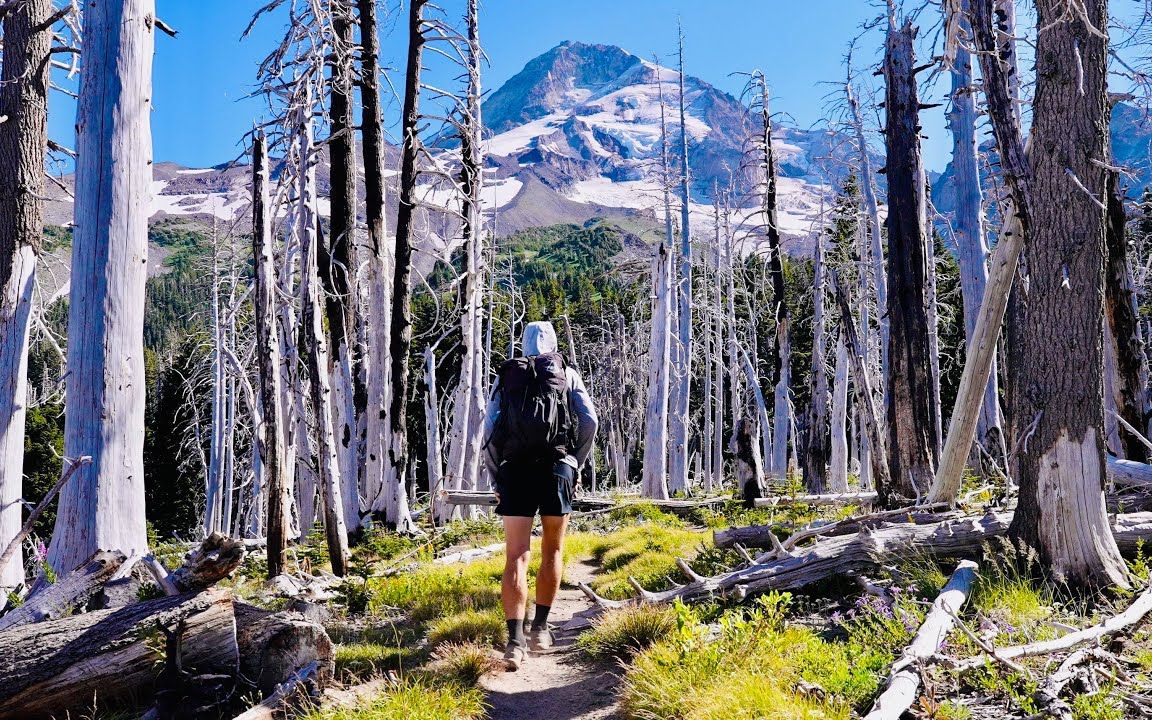 【波兰特Timberline trail 徒步两天40km】该线路位于俄勒冈州,从波兰特开车1.5h就能到步道起点,路线难度不高哔哩哔哩bilibili