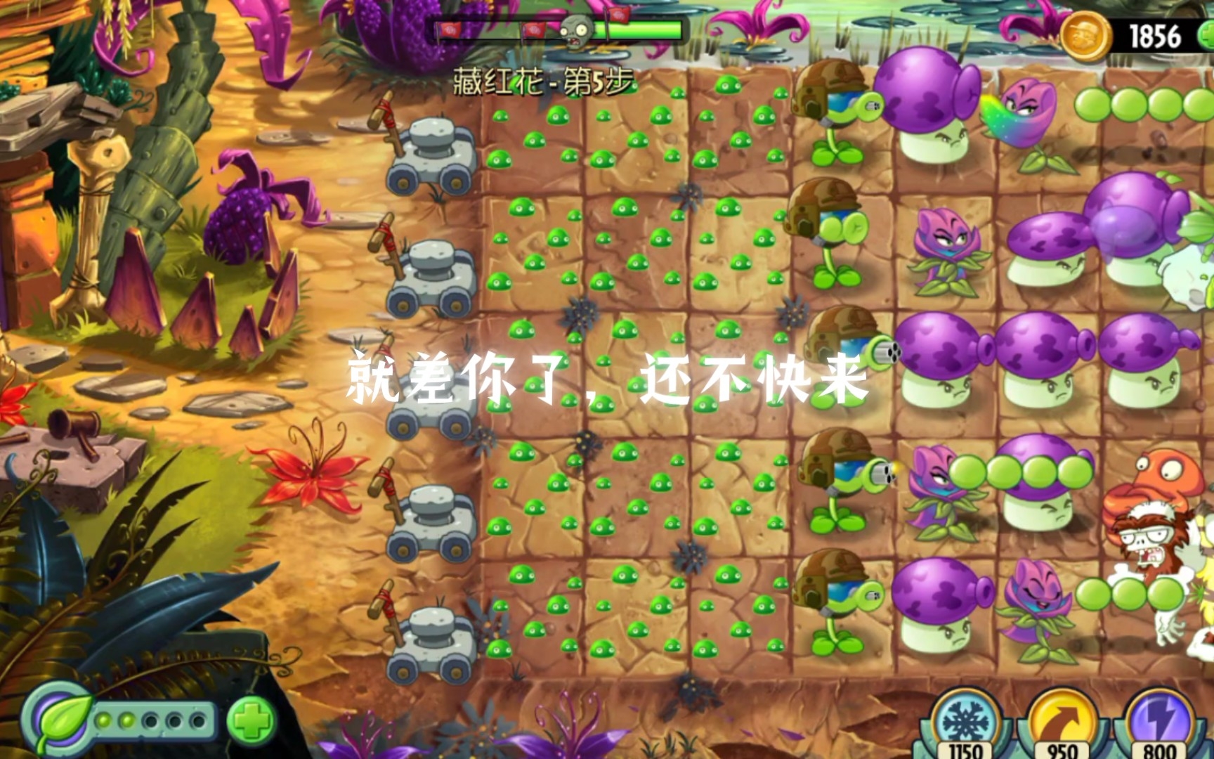 [图]【PVZ2 shuttle】藏红花5~6