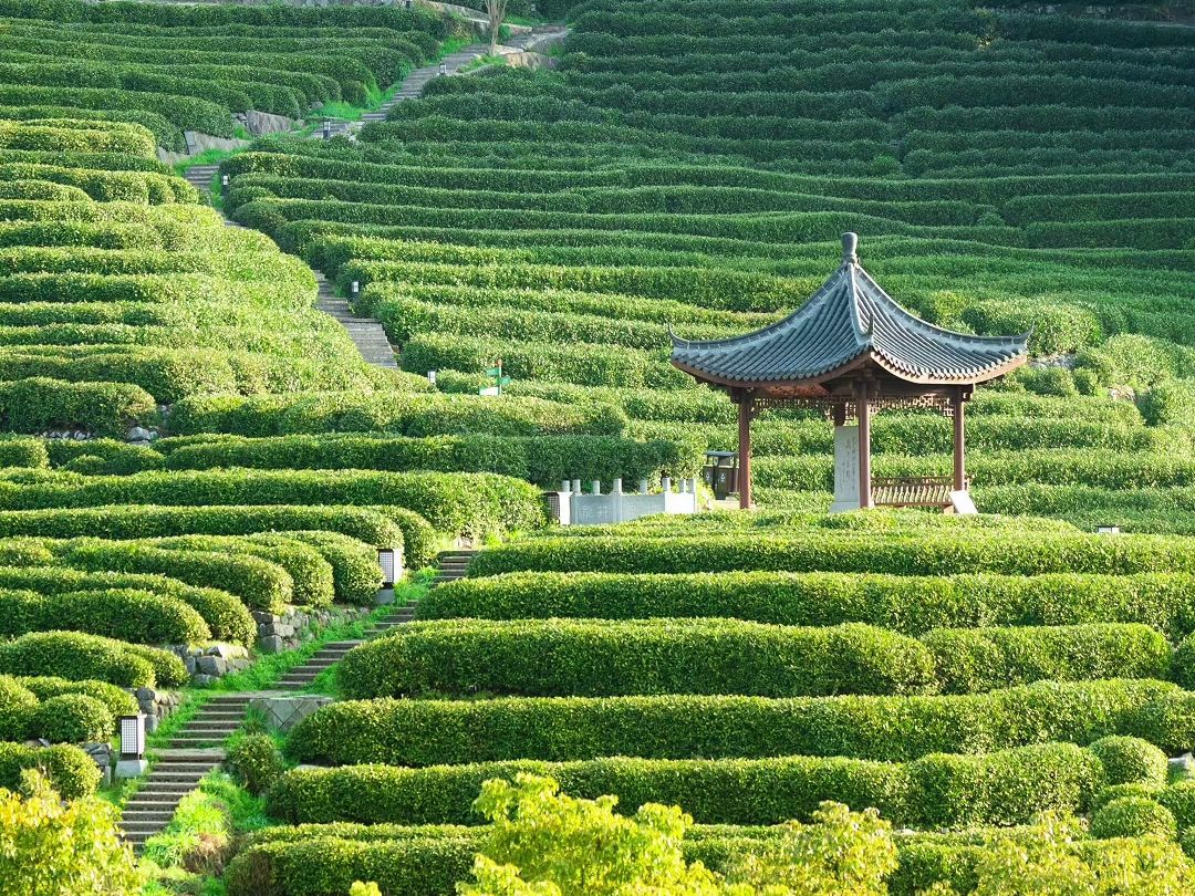 这条西湖以西,从问茶古道走向九溪十八涧的访古踏青路线,竟然已经火了400年!哔哩哔哩bilibili