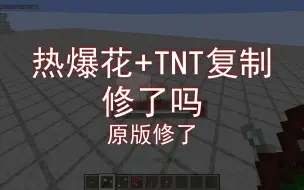 下载视频: [Botania]热爆花X各类型TNT复制机构测试和非原版解决方案