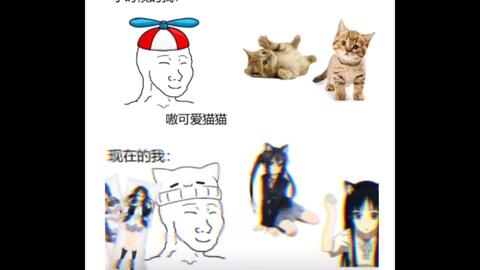 小时候我喜欢猫猫 长大了我还是喜欢啊 沙雕爆笑梗图 搞笑视频 开心搞笑网