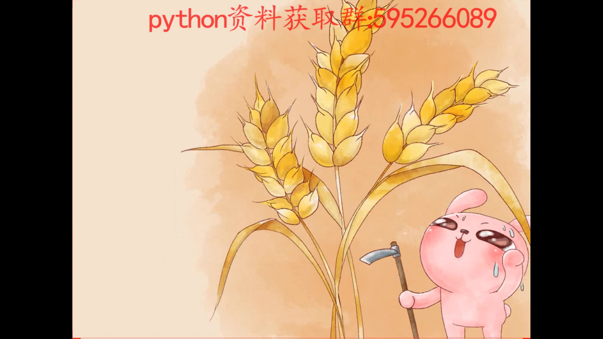 python开发之web开发音乐网站哔哩哔哩bilibili