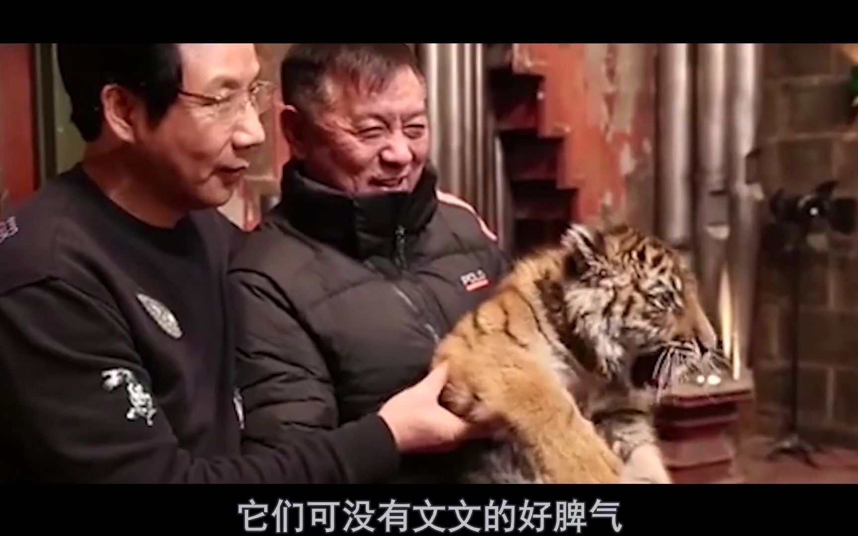 《阳光劫匪》幕后故事:老虎片酬力压马丽,还在剧组拆家!