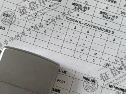 支付宝花呗连续逾期3条删除成功.收支付宝花呗逾期[666]哔哩哔哩bilibili