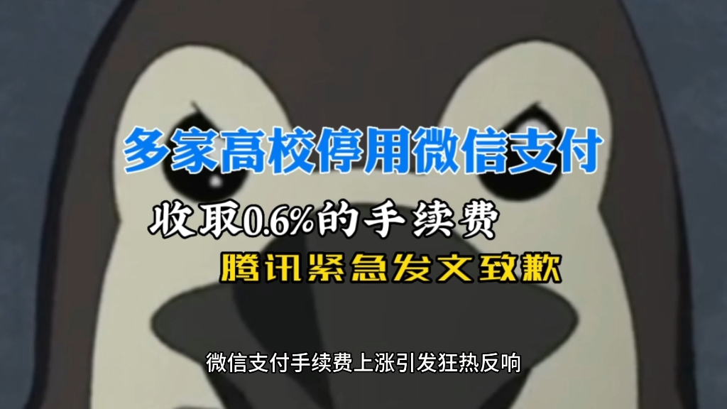 因收取0.6%手续费,微信支付被多所高校宣布停用:微信紧急致歉!哔哩哔哩bilibili