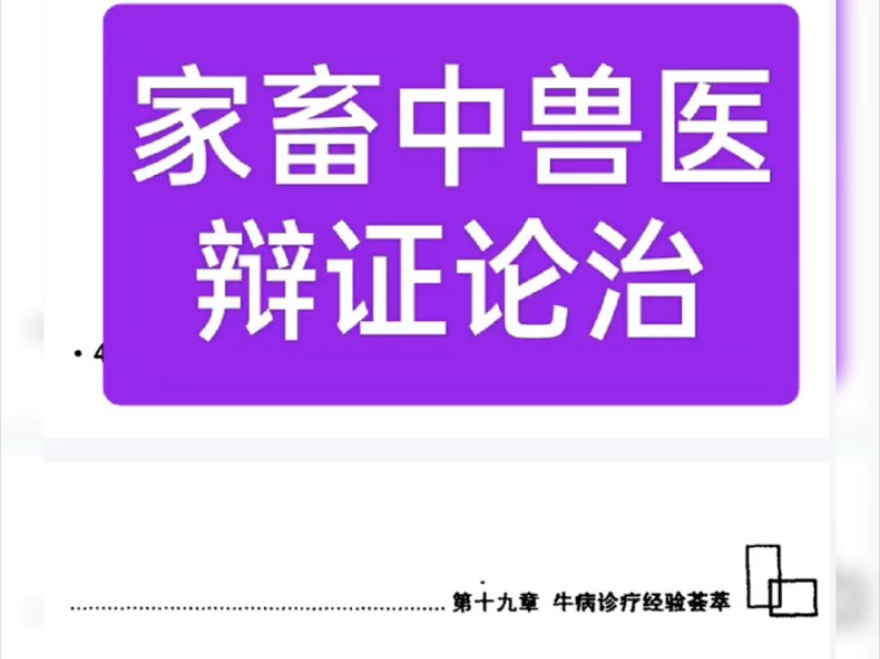 家畜中兽医辩证论治哔哩哔哩bilibili