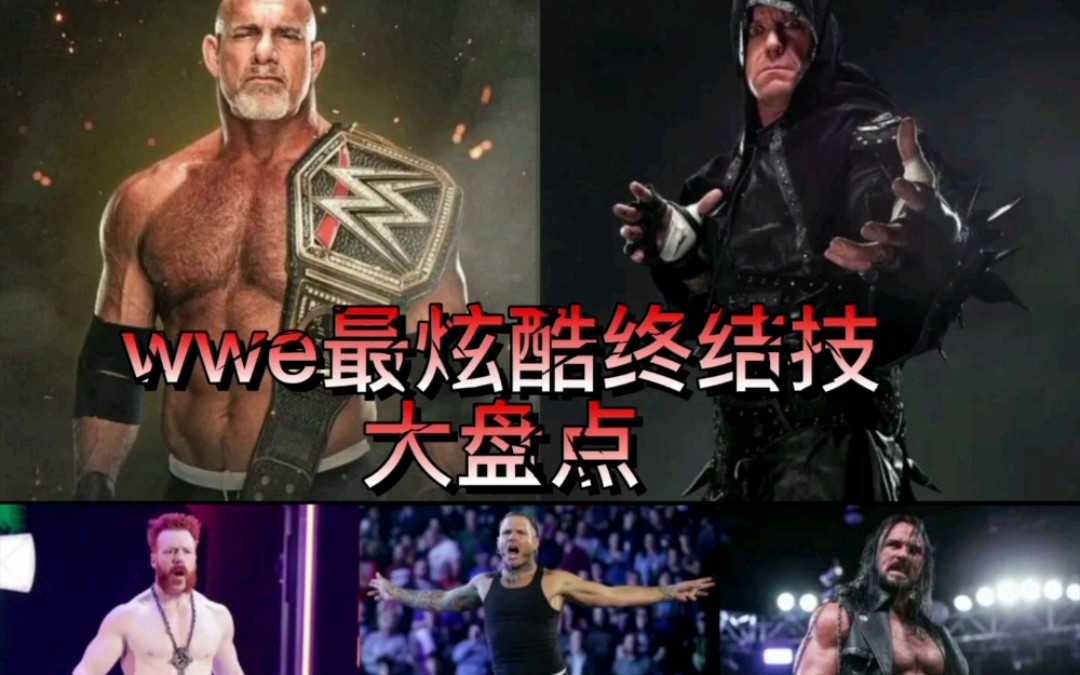 wwe最炫酷终结技大盘点(2)哔哩哔哩bilibili