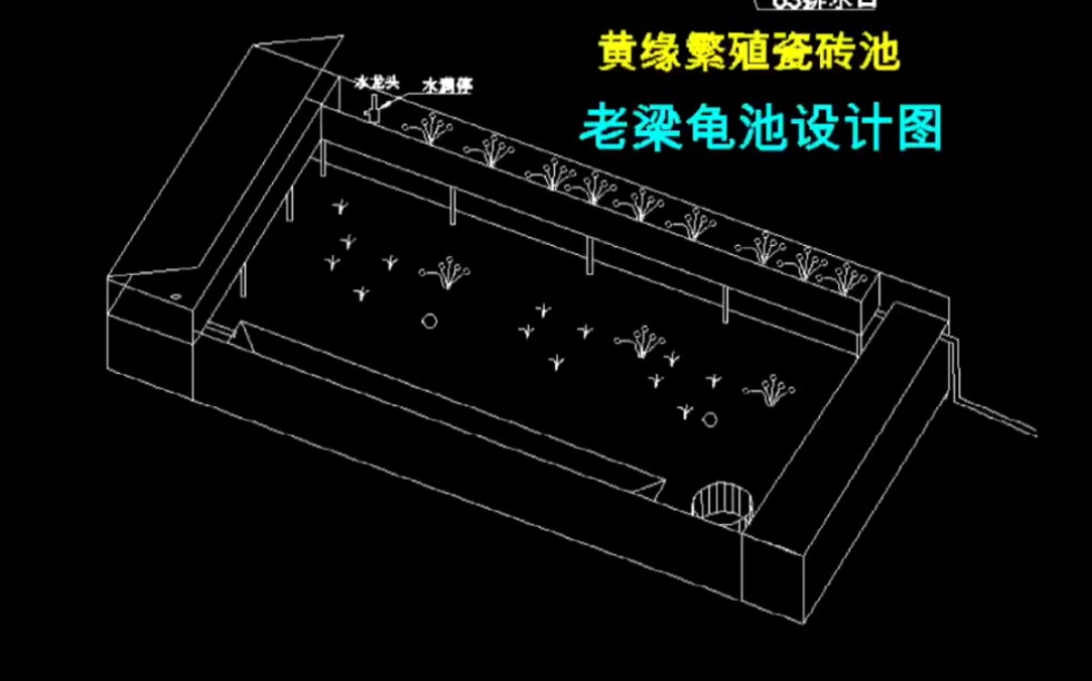 龟池建造图片设计图图片