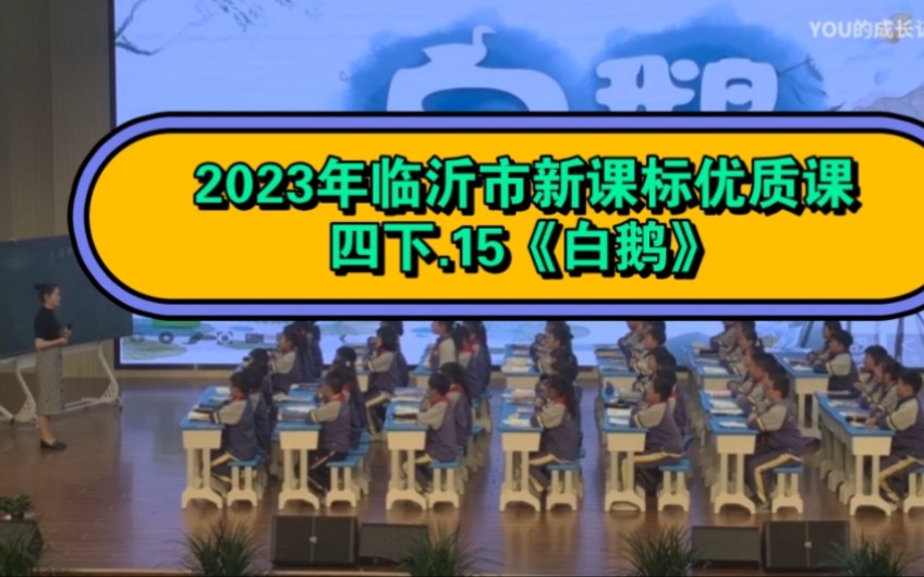 【2023临沂小学语文优质课】33.四下15《白鹅》(小学语文新课标学习任务群优质课)2023临沂市小学语文优质课评比活动哔哩哔哩bilibili