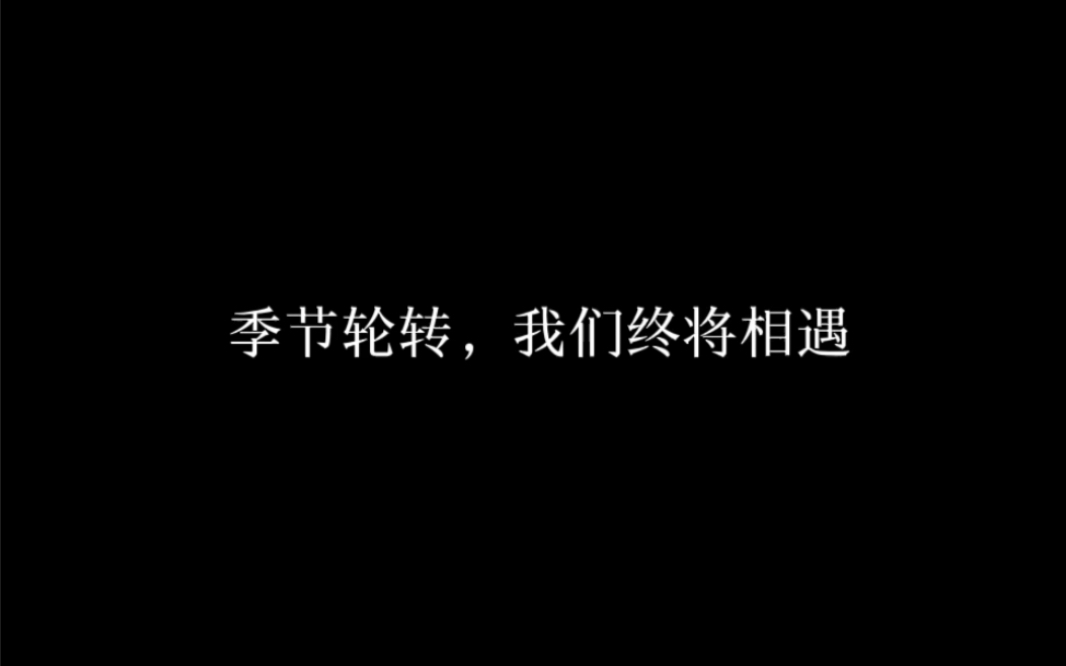 【山晚后续】她出现那一刻,我觉得所有小说情节都弱爆了哔哩哔哩bilibili光ⷩ‡