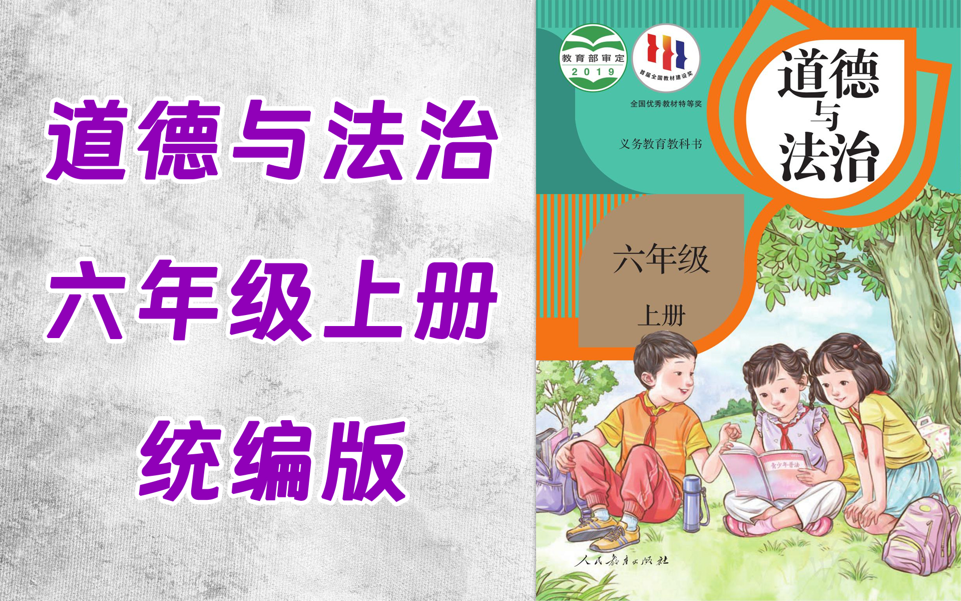 tt0026-169-小学六年级道德与法治统编版上册-全32集