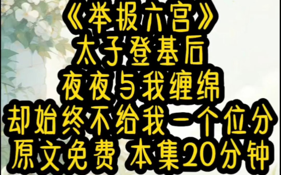 《举报六宫》20分钟太子登基后,夜夜与我缠绵,却始终没有给我一个名分哔哩哔哩bilibili