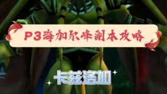 【海加尔峰】副本攻略—老三卡兹洛加